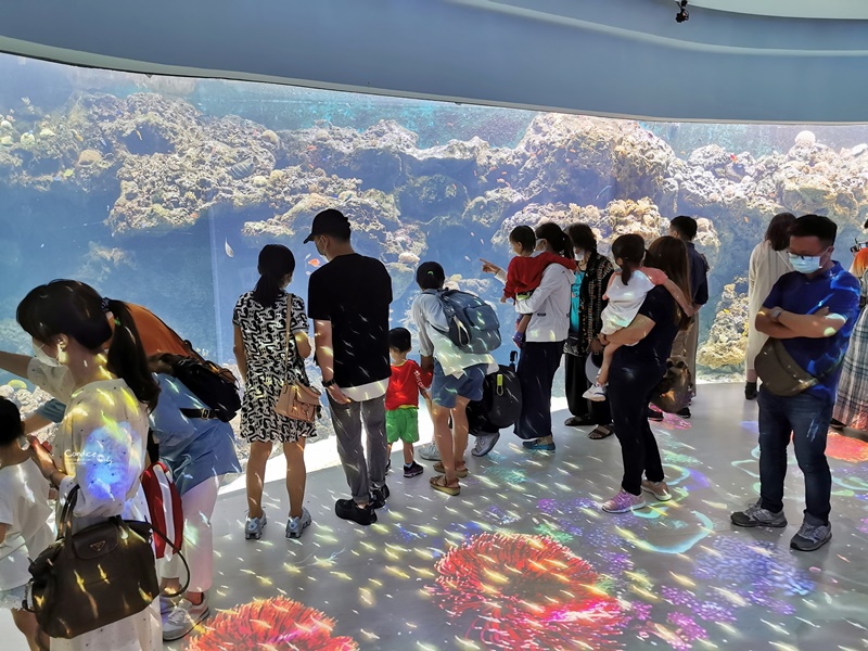 Xpark桃園水族館｜門票訂票預購中!票價/飯店/夜宿/停車,7大亮點懶人包!