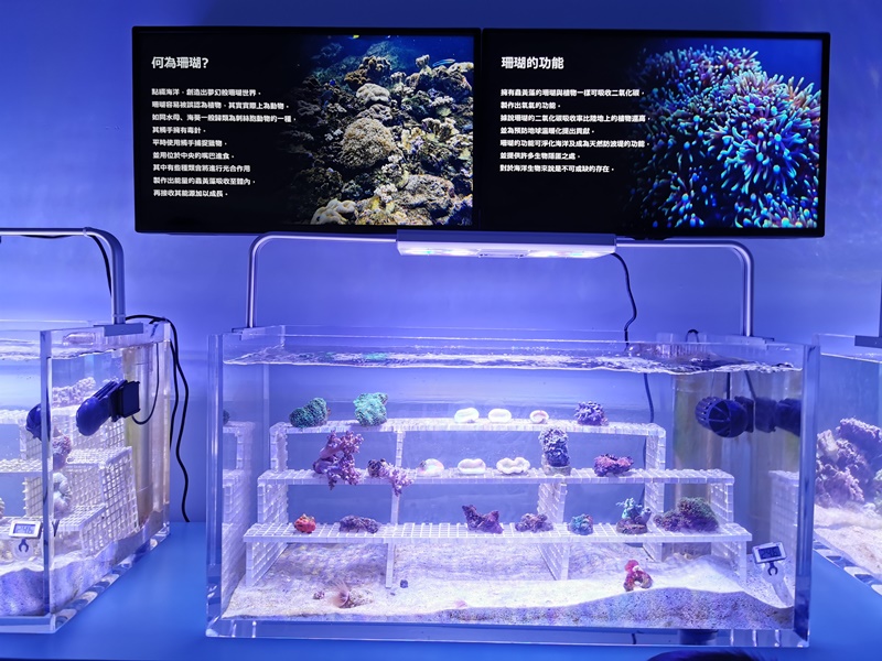 Xpark桃園水族館｜門票訂票預購中!票價/飯店/夜宿/停車,7大亮點懶人包!