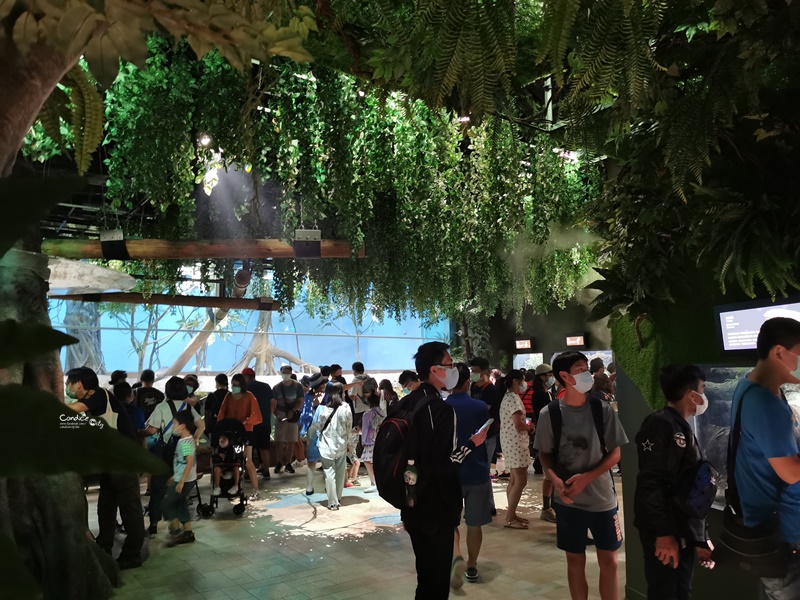 Xpark桃園水族館｜門票訂票預購中!票價/飯店/夜宿/停車,7大亮點懶人包!