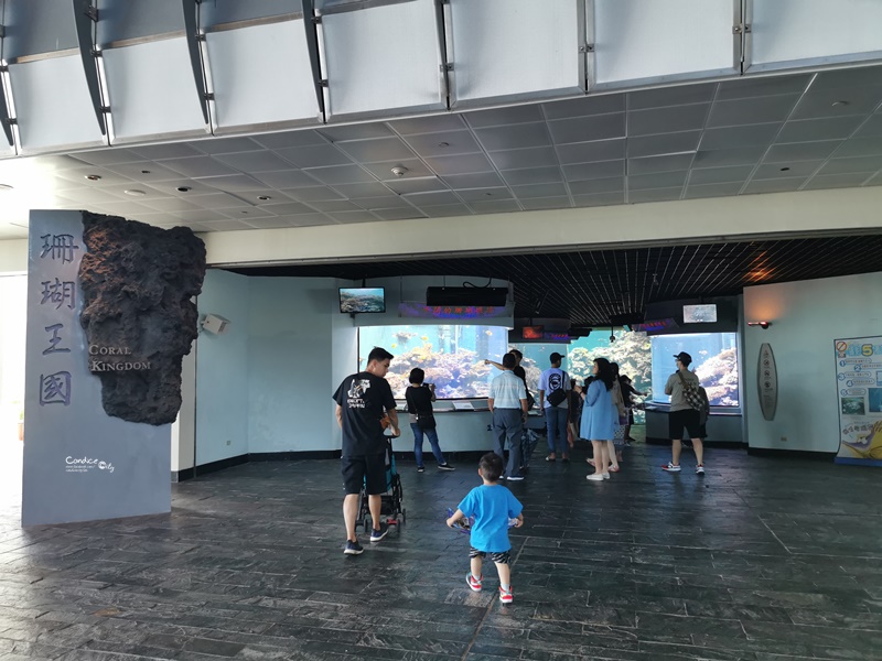 國立海洋生物博物館｜不輸任何國家的超讚屏東海生館(網路門票便宜!)