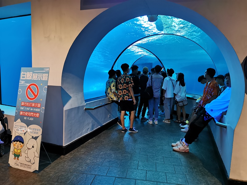 國立海洋生物博物館｜不輸任何國家的超讚屏東海生館(網路門票便宜!)