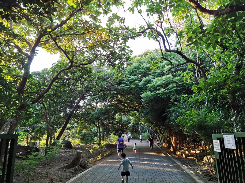 關山夕陽｜2個最佳觀景台分享!全球12大的夕陽美景在墾丁!