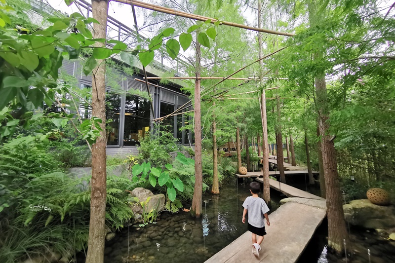 澄石享自在｜森林中的蔬食餐廳,超推薦鐵鍋鬆餅(台中下午茶)