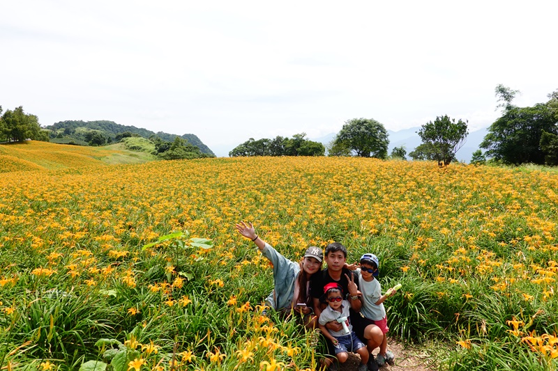 花蓮赤科山金針花海｜花況/路況/交通/必拍景點/2020.9.1紀錄!