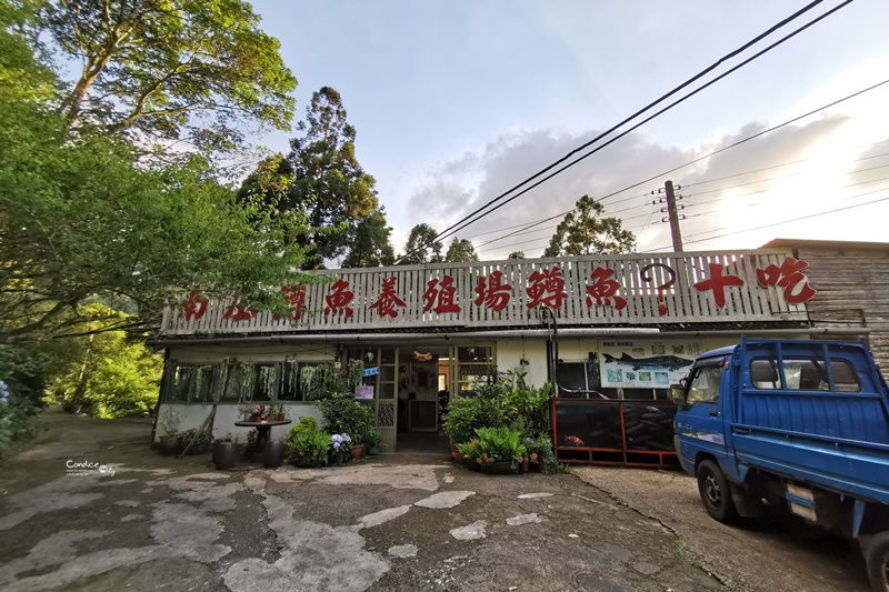 南庄鱒魚養殖場創始店｜雙人套餐600吃活魚!CP值超高(菜單)