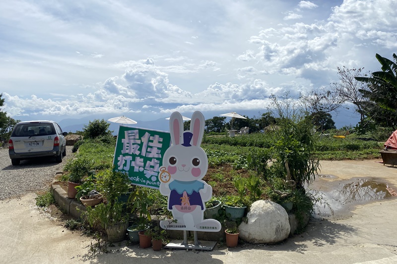 花蓮赤科山金針花海｜花況/路況/交通/必拍景點/2020.9.1紀錄!