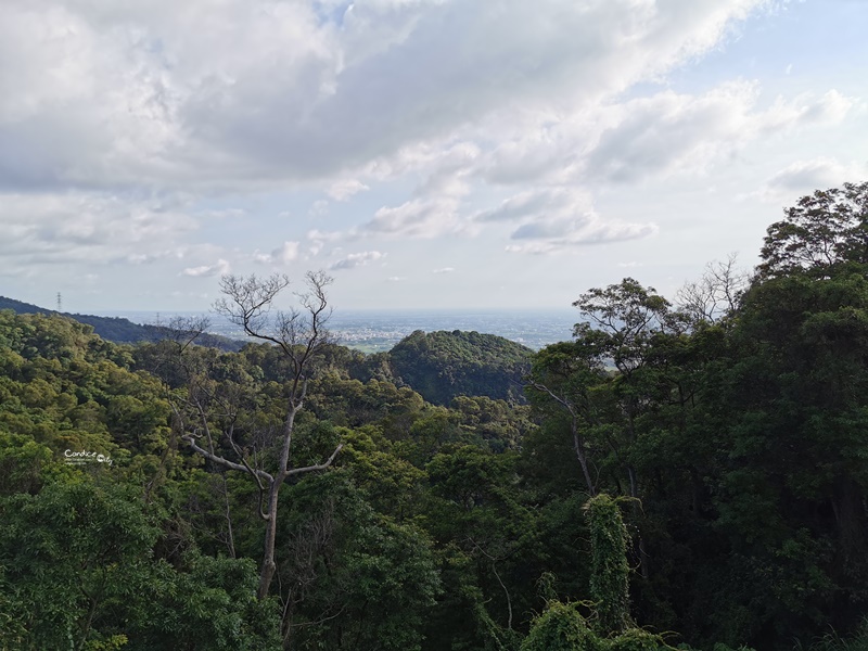 猴探井天空之橋｜漂亮南投景點,走步道看風景坐搖椅看小動物!