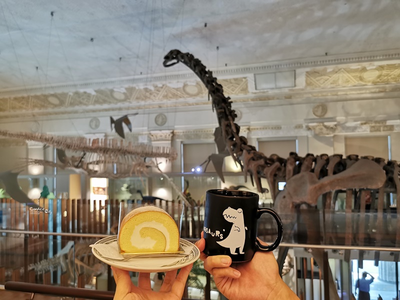 石尚恐龍主題餐廳｜看恐龍喝咖啡吃蛋糕!台灣博物館咖啡廳! @陳小沁の吃喝玩樂