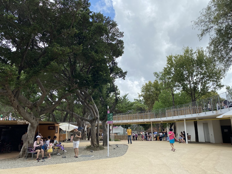 新竹市立動物園｜小而美新竹動物園!老虎泡湯療癒(門票/森林食堂/停車)