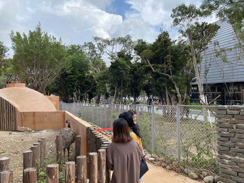 新竹市立動物園｜小而美新竹動物園!老虎泡湯療癒(門票/森林食堂/停車)