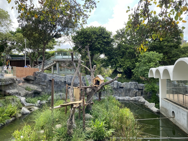 新竹市立動物園｜小而美新竹動物園!老虎泡湯療癒(門票/森林食堂/停車)