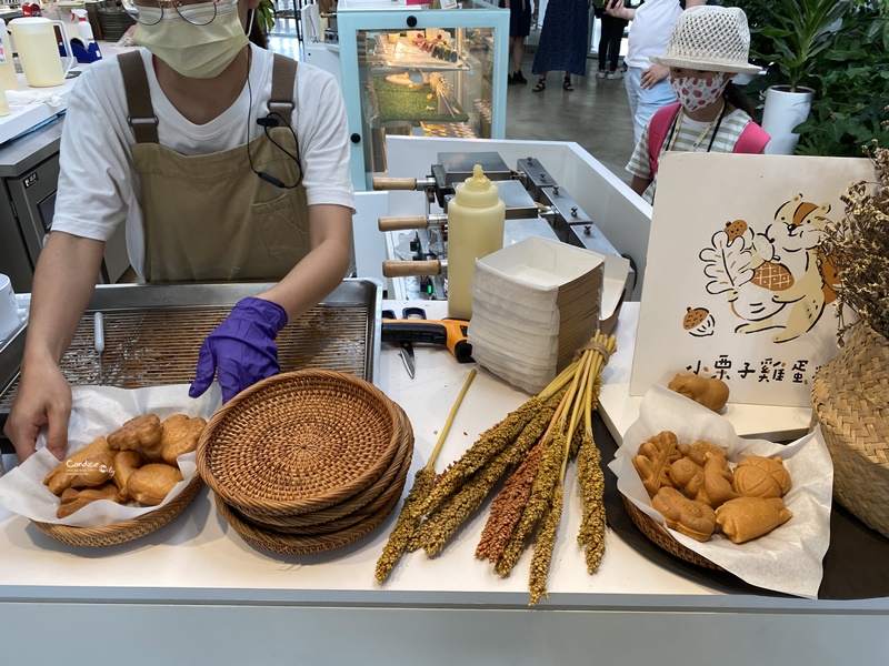 新竹市立動物園｜小而美新竹動物園!老虎泡湯療癒(門票/森林食堂/停車)