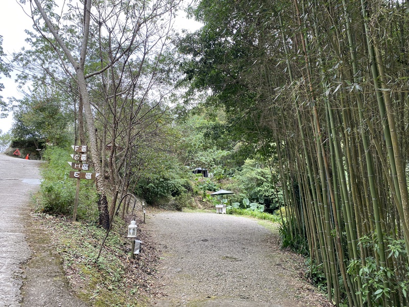 6號花園｜竹林中露營,超熱門新竹露營區S3營位+6號花園餐廳用餐!