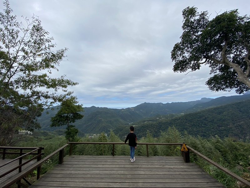 6號花園｜竹林中露營,超熱門新竹露營區S3營位+6號花園餐廳用餐!