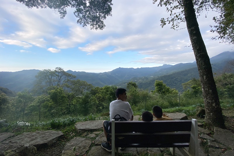 6號花園｜超美新竹餐廳,只緣身在此山中!新竹網美餐廳必訪!