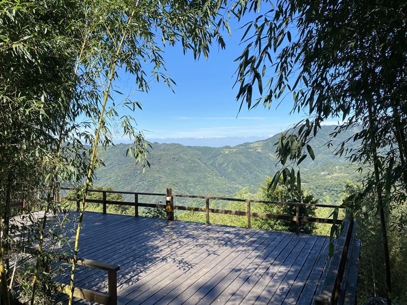 6號花園｜竹林中露營,超熱門新竹露營區S3營位+6號花園餐廳用餐!