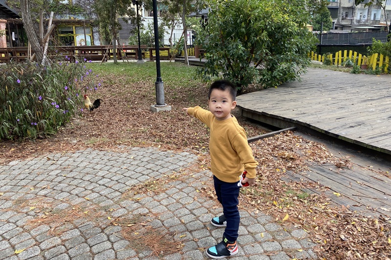 紅棗食府｜苗栗客家菜餐廳!後院很大有草莓園/小動物!