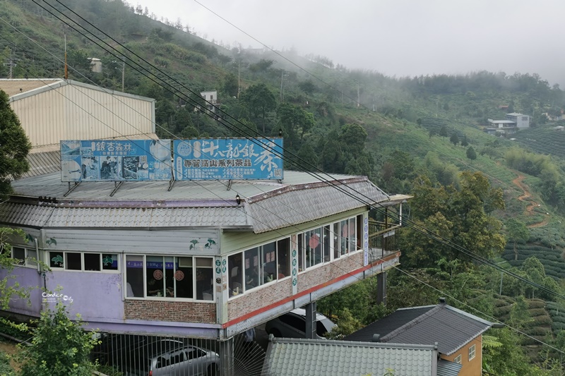 銀杏森林景觀餐廳｜藏在深山中吃小火鍋看美景!南投美食推薦