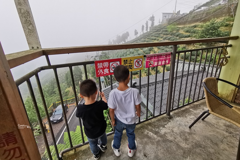 銀杏森林景觀餐廳｜藏在深山中吃小火鍋看美景!南投美食推薦