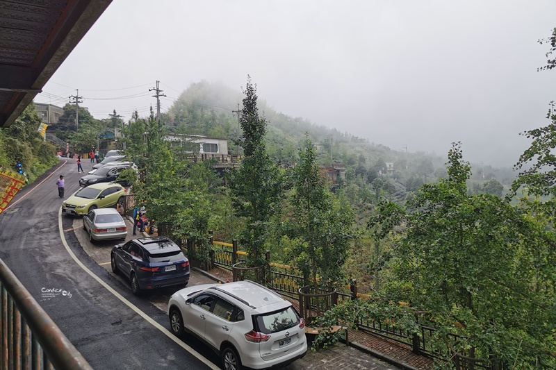 銀杏森林景觀餐廳｜藏在深山中吃小火鍋看美景!南投美食推薦