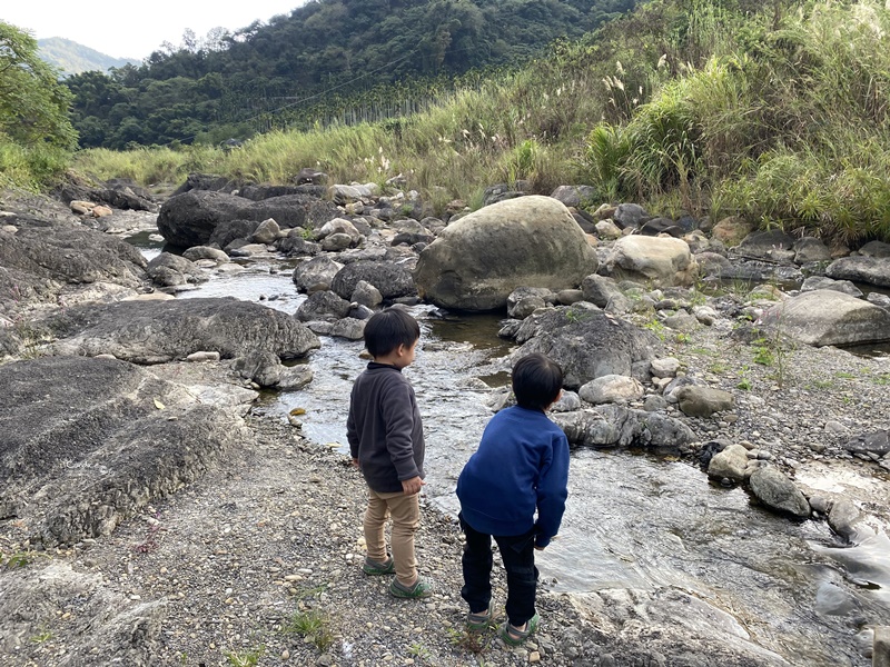 黃金森林露營區｜黃金串錢柳林蔭大道美翻天!南投落羽松露營區!