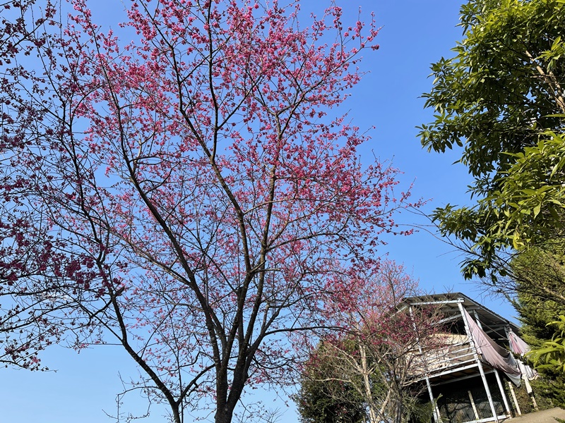 函館露營區｜百萬夜景超級美!超夯新竹露營區!營區介紹/路況