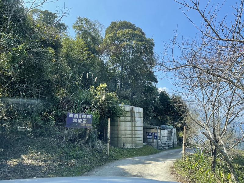 賽夏有機農場｜路況/營區介紹,可以一帳包區的新竹露營區!單飛人的最愛!!!