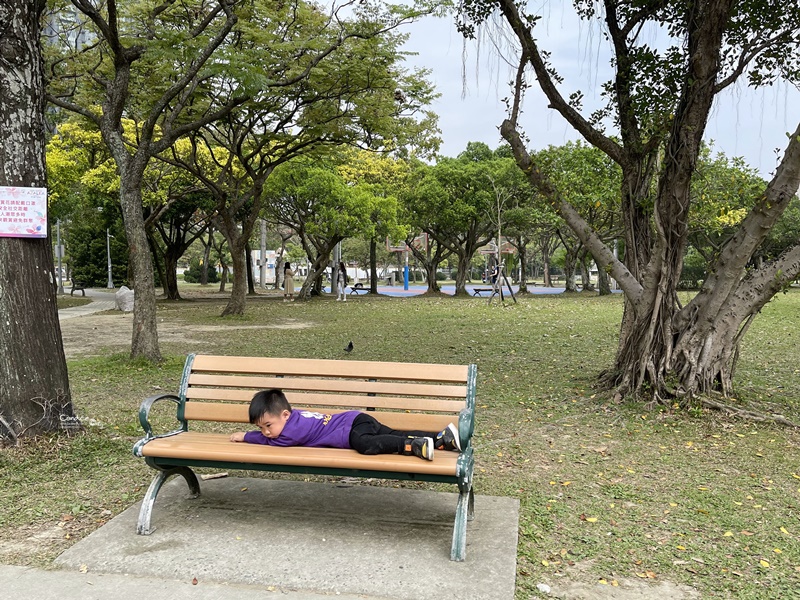 大安森林公園繡球花｜絕美杜鵑冶園開放,台北最方便賞花公園!