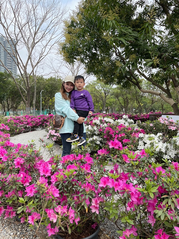 大安森林公園繡球花｜絕美杜鵑冶園開放,台北最方便賞花公園!