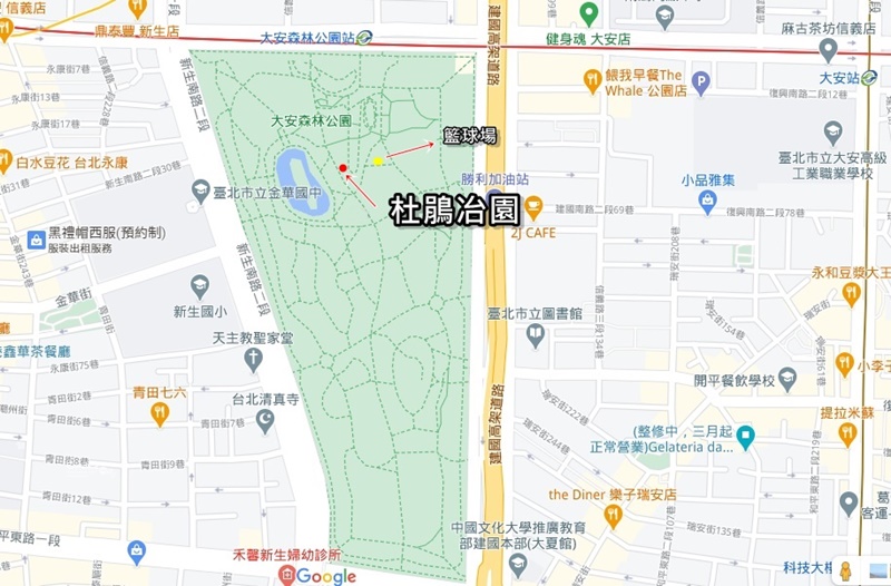 大安森林公園繡球花｜絕美杜鵑冶園開放,台北最方便賞花公園!