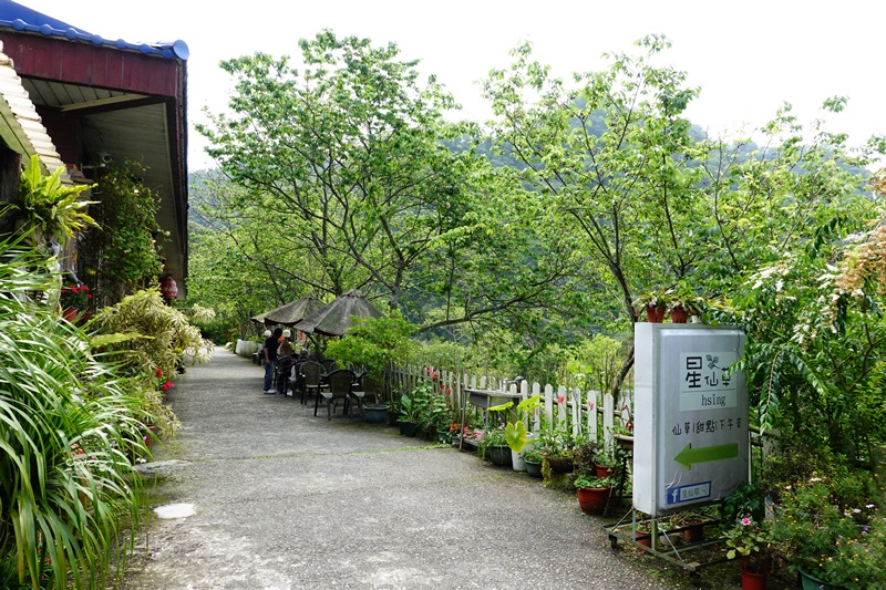 星仙草｜獅潭仙草必吃這間!風景好的芋園仙草凍!