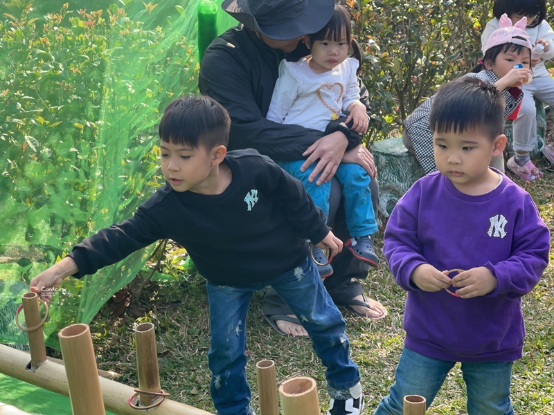 悠活憶境景觀露營區｜營主自營草莓園,還有豐香草莓可採!10帳包場小營區!