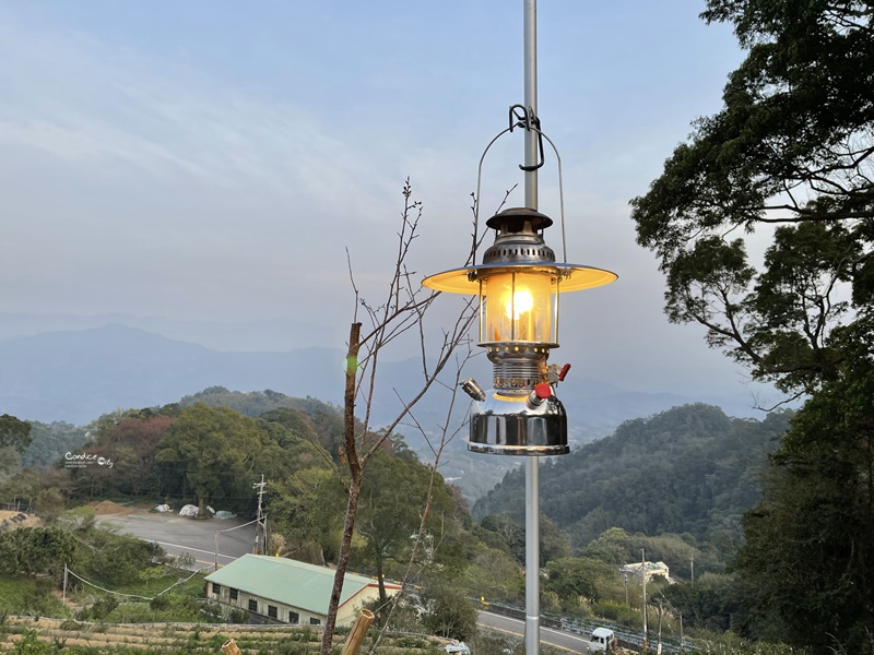 悠活憶境景觀露營區｜營主自營草莓園,還有豐香草莓可採!10帳包場小營區!