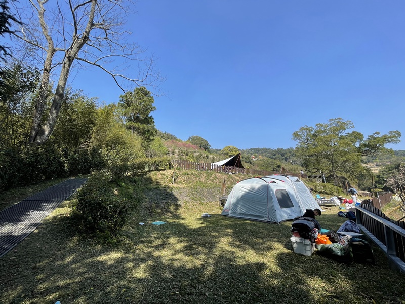 悠活憶境景觀露營區｜營主自營草莓園,還有豐香草莓可採!10帳包場小營區!