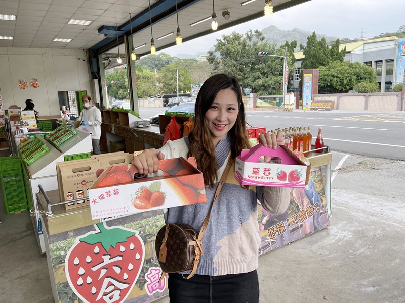 六合草莓休閒農場｜大湖採草莓推薦!高架草莓園,免蹲低好方便!