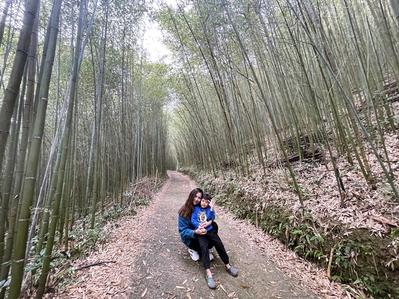 烏嘎彥竹林｜台版嵐山+個人私房景點!泰安竹林秘境太美了(苗栗免費景點)