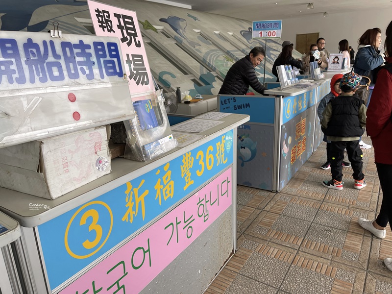 龜山島登島‧賞鯨豚‧繞島｜超幸運的宜蘭賞鯨豚之旅!龜山島登島開放囉!