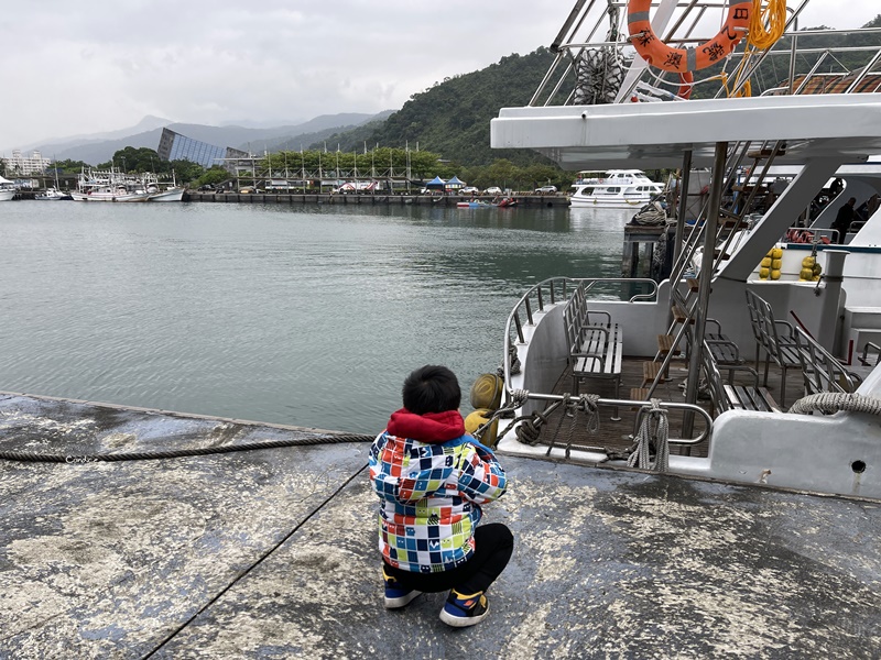 龜山島登島‧賞鯨豚‧繞島｜超幸運的宜蘭賞鯨豚之旅!龜山島登島開放囉!