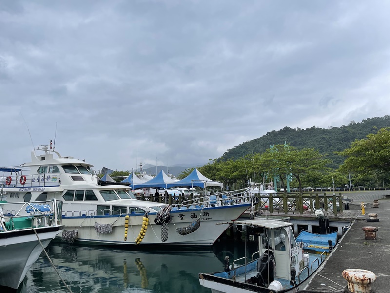 龜山島登島‧賞鯨豚‧繞島｜超幸運的宜蘭賞鯨豚之旅!龜山島登島開放囉!