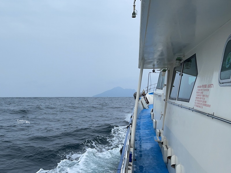 龜山島登島‧賞鯨豚‧繞島｜超幸運的宜蘭賞鯨豚之旅!龜山島登島開放囉!