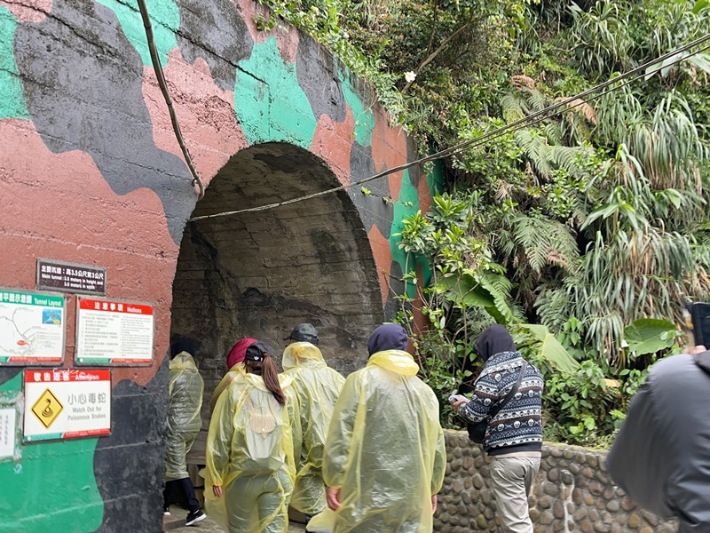 龜山島登島‧賞鯨豚‧繞島｜超幸運的宜蘭賞鯨豚之旅!龜山島登島開放囉!