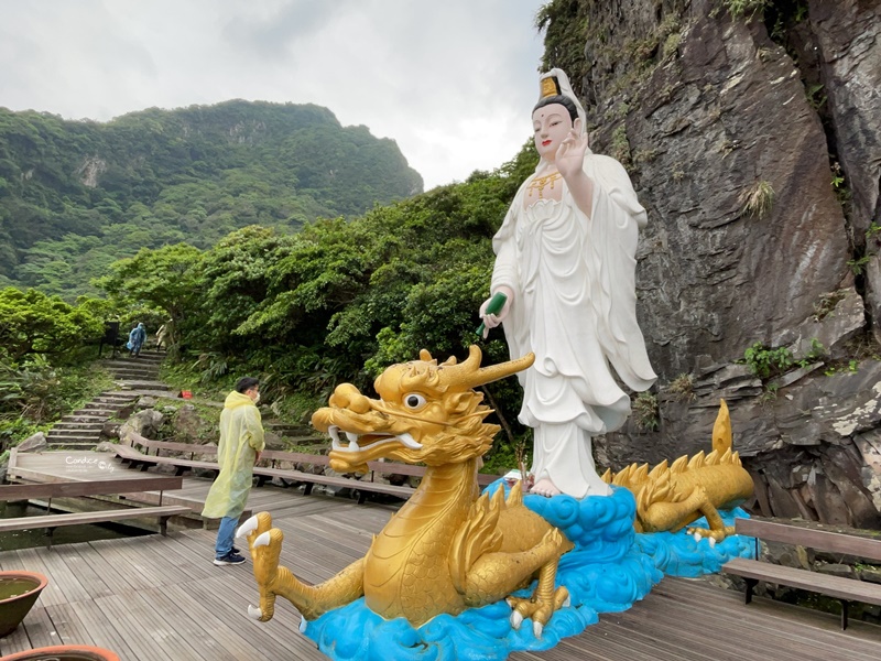 龜山島登島‧賞鯨豚‧繞島｜超幸運的宜蘭賞鯨豚之旅!龜山島登島開放囉!