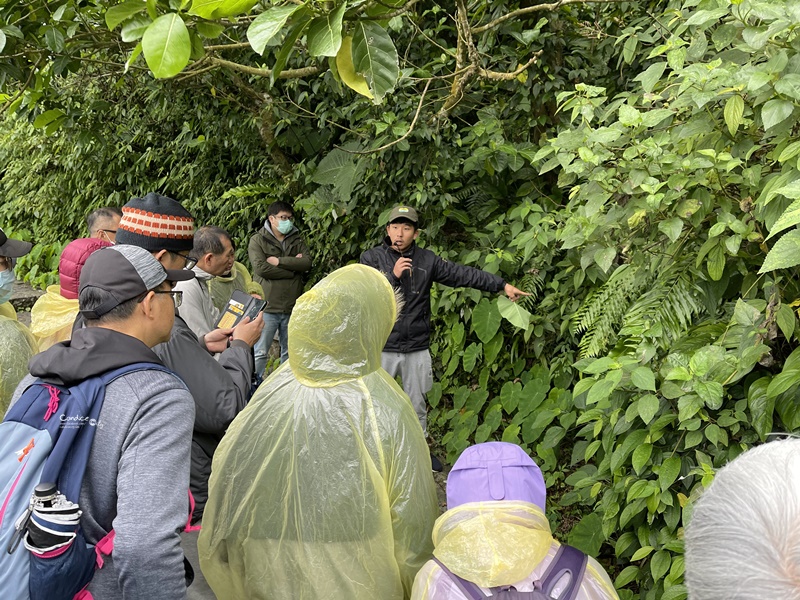 龜山島登島‧賞鯨豚‧繞島｜超幸運的宜蘭賞鯨豚之旅!龜山島登島開放囉!