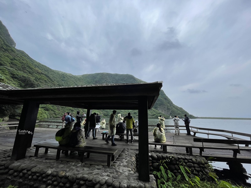 龜山島登島‧賞鯨豚‧繞島｜超幸運的宜蘭賞鯨豚之旅!龜山島登島開放囉!