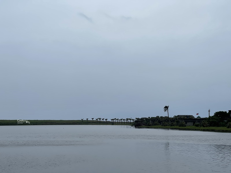 龜山島登島‧賞鯨豚‧繞島｜超幸運的宜蘭賞鯨豚之旅!龜山島登島開放囉!