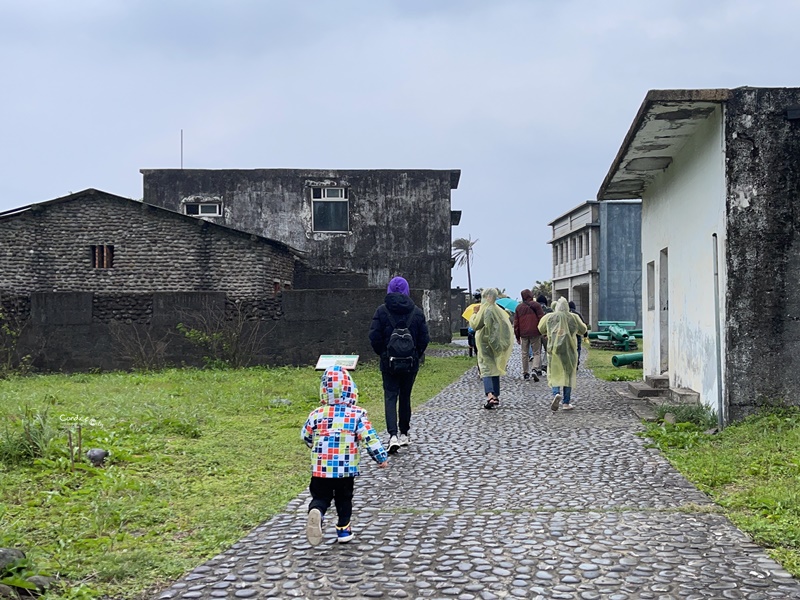 龜山島登島‧賞鯨豚‧繞島｜超幸運的宜蘭賞鯨豚之旅!龜山島登島開放囉!