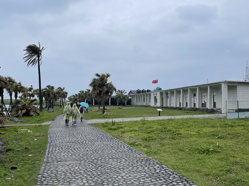 龜山島登島‧賞鯨豚‧繞島｜超幸運的宜蘭賞鯨豚之旅!龜山島登島開放囉!