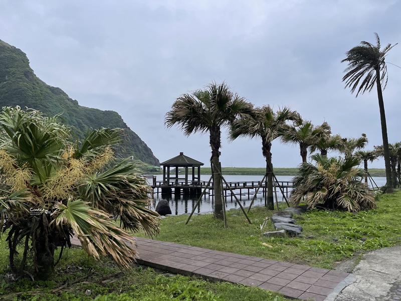 龜山島登島‧賞鯨豚‧繞島｜超幸運的宜蘭賞鯨豚之旅!龜山島登島開放囉!