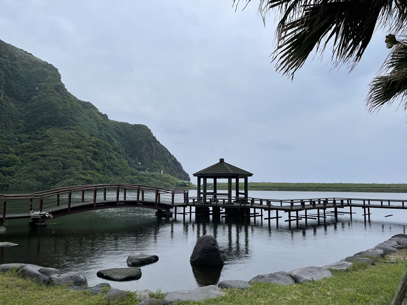 龜山島登島‧賞鯨豚‧繞島｜超幸運的宜蘭賞鯨豚之旅!龜山島登島開放囉!