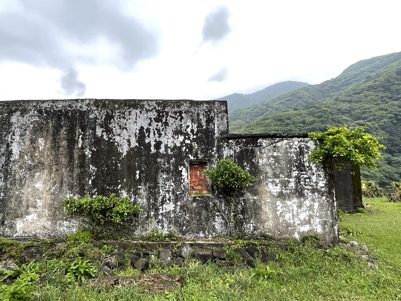 龜山島登島‧賞鯨豚‧繞島｜超幸運的宜蘭賞鯨豚之旅!龜山島登島開放囉!